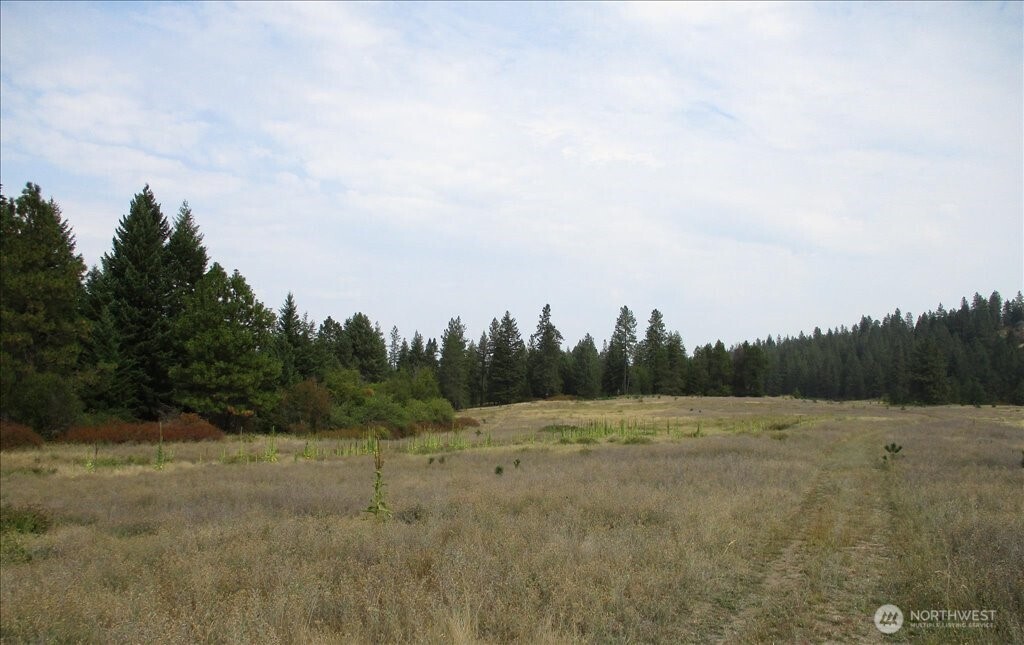 -nka North Orchard Bluff Road Chattaroy, WA 99003 - Photo 30 of 40