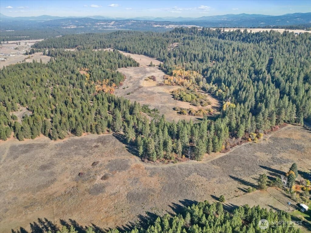 -nka North Orchard Bluff Road Chattaroy, WA 99003 - Photo 3 of 40