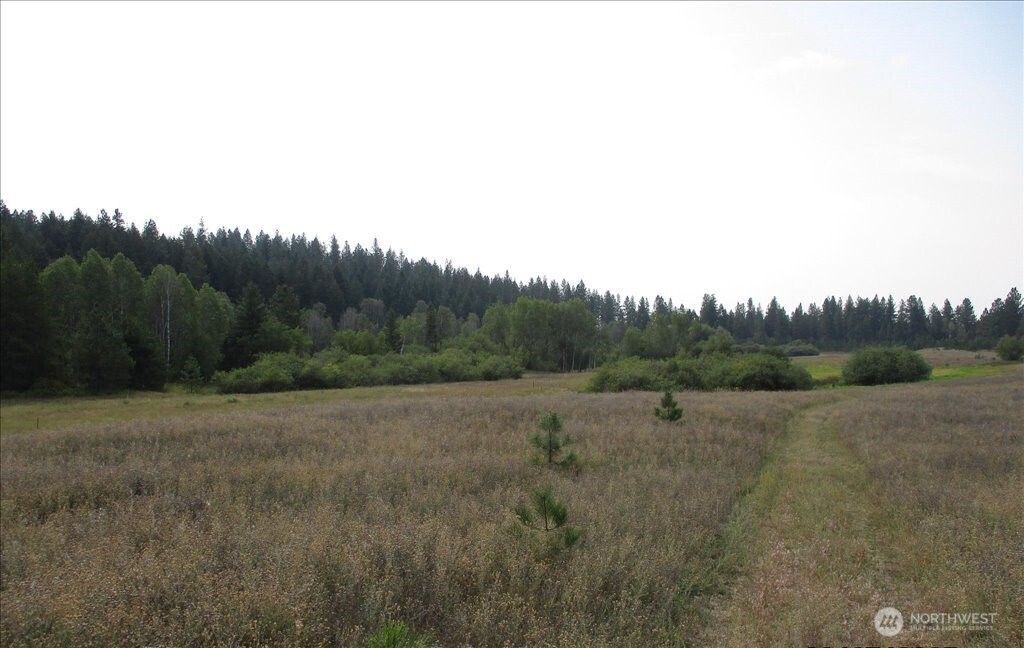-nka North Orchard Bluff Road Chattaroy, WA 99003 - Photo 31 of 40