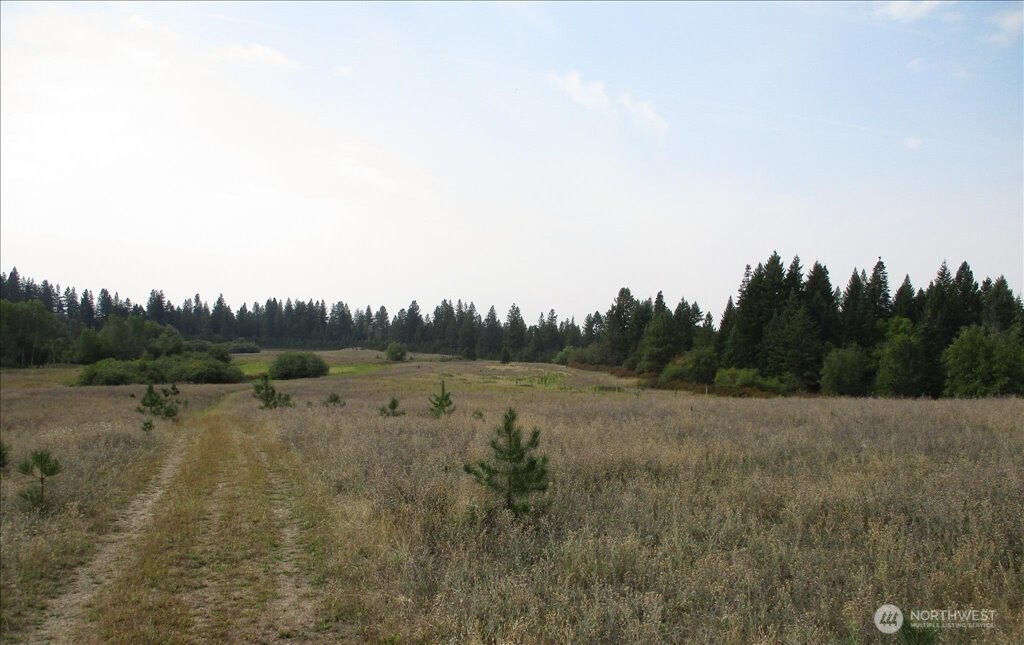 -nka North Orchard Bluff Road Chattaroy, WA 99003 - Photo 32 of 40
