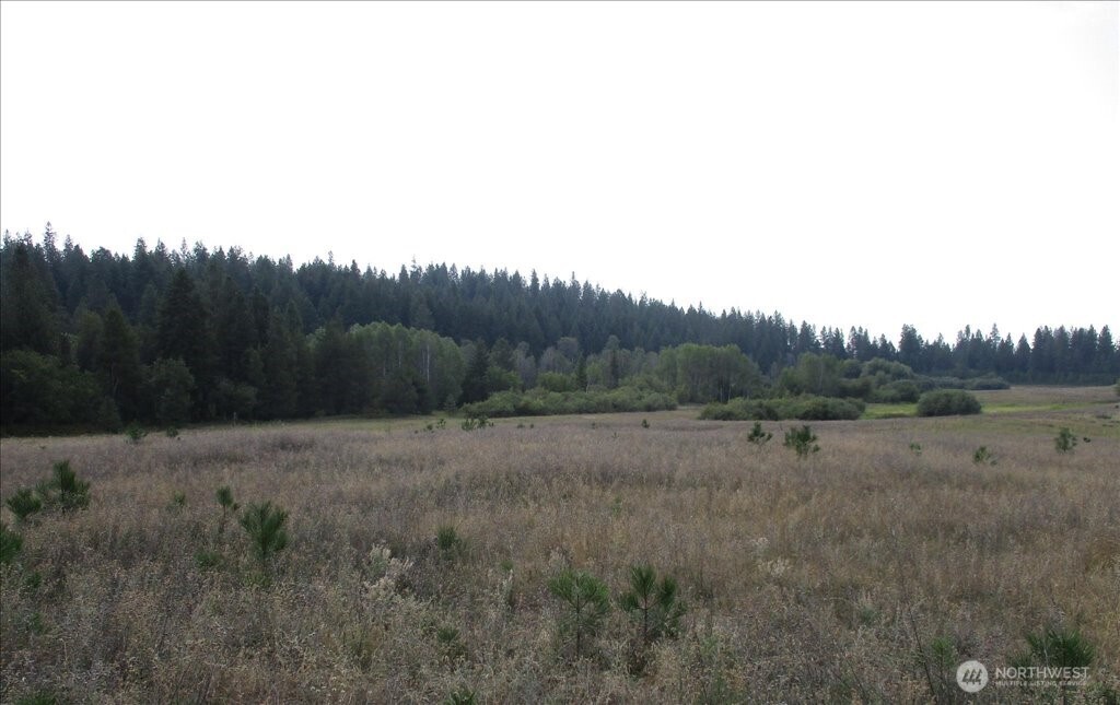 -nka North Orchard Bluff Road Chattaroy, WA 99003 - Photo 33 of 40