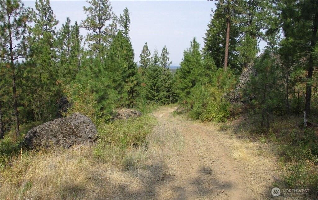 -nka North Orchard Bluff Road Chattaroy, WA 99003 - Photo 34 of 40