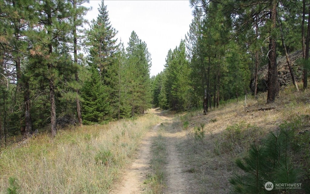 -nka North Orchard Bluff Road Chattaroy, WA 99003 - Photo 35 of 40