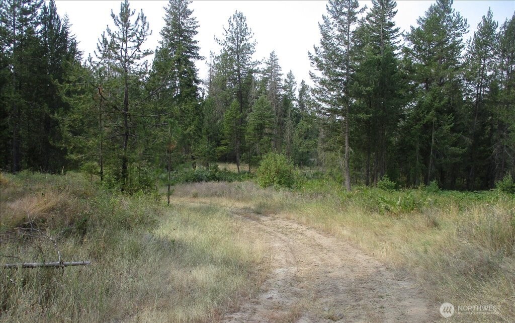 -nka North Orchard Bluff Road Chattaroy, WA 99003 - Photo 36 of 40