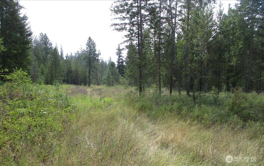 -nka North Orchard Bluff Road Chattaroy, WA 99003 - Photo 37 of 40