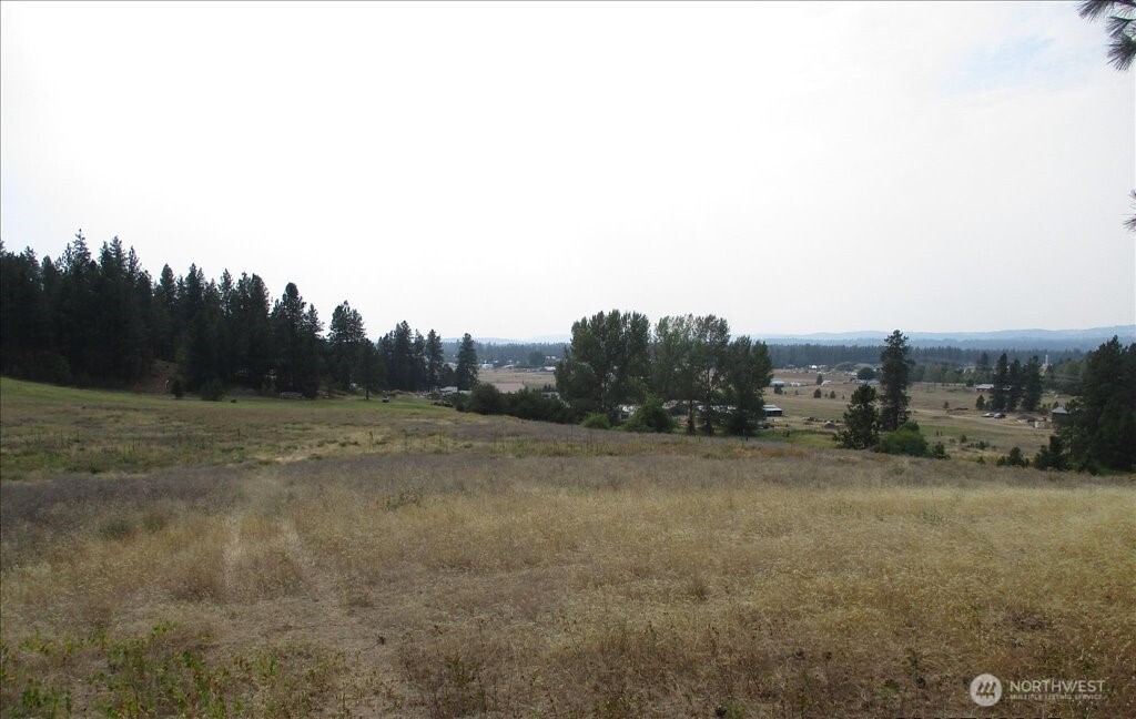 -nka North Orchard Bluff Road Chattaroy, WA 99003 - Photo 40 of 40