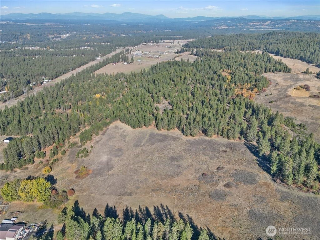 -nka North Orchard Bluff Road Chattaroy, WA 99003 - Photo 4 of 40