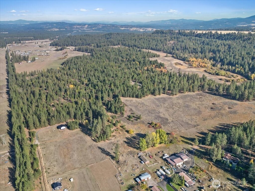 -nka North Orchard Bluff Road Chattaroy, WA 99003 - Photo 5 of 40