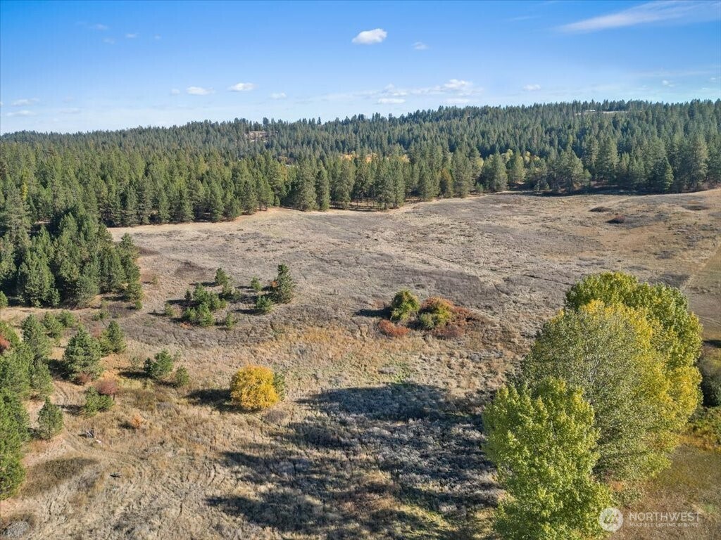 -nka North Orchard Bluff Road Chattaroy, WA 99003 - Photo 6 of 40