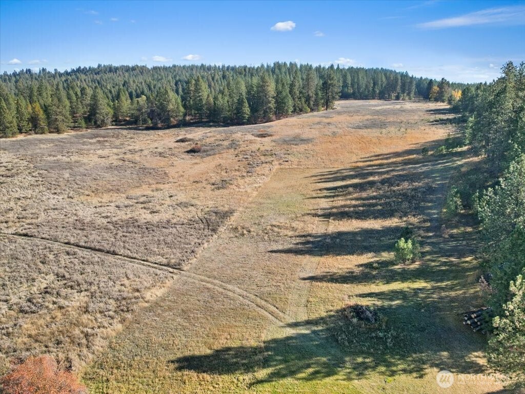 -nka North Orchard Bluff Road Chattaroy, WA 99003 - Photo 7 of 40
