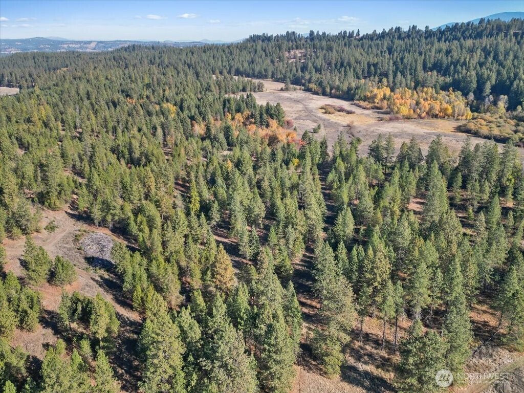 -nka North Orchard Bluff Road Chattaroy, WA 99003 - Photo 8 of 40