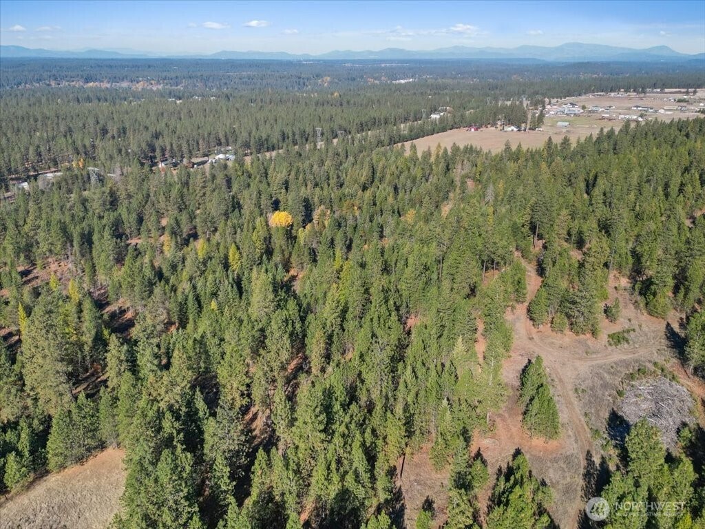 -nka North Orchard Bluff Road Chattaroy, WA 99003 - Photo 9 of 40