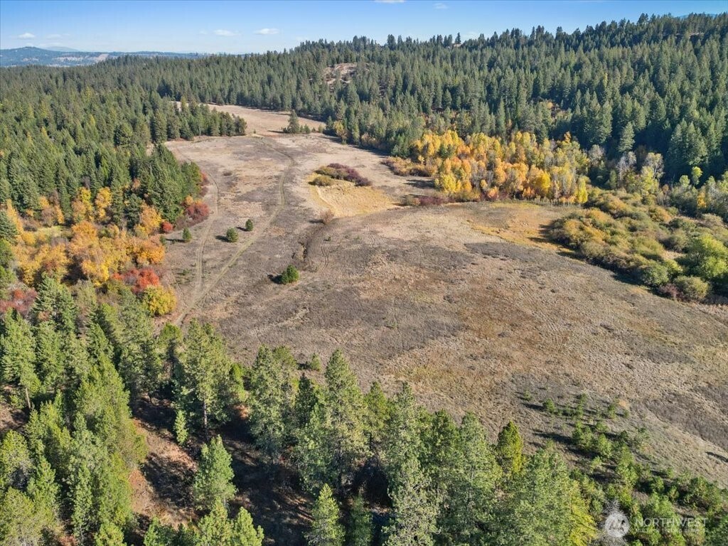 -nka North Orchard Bluff Road Chattaroy, WA 99003 - Photo 10 of 40