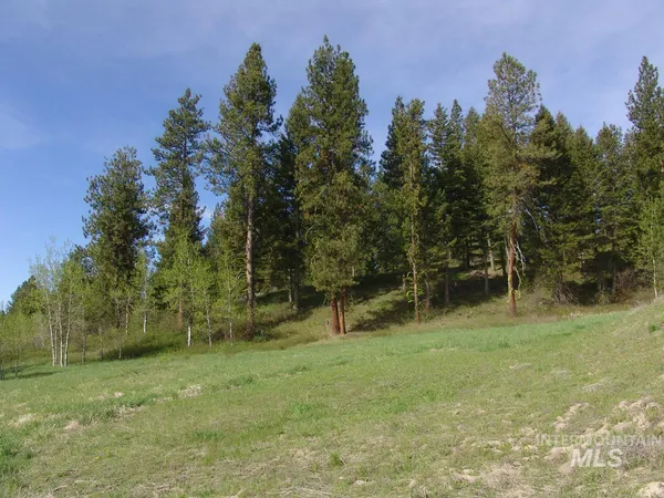 $245,000 | 21 Rehn Loop, Cascade, ID 83611