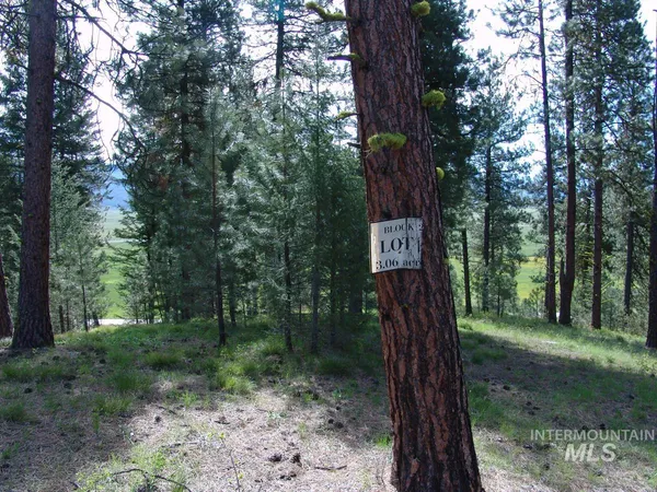 $245,000 | 21 Rehn Loop, Cascade, ID 83611
