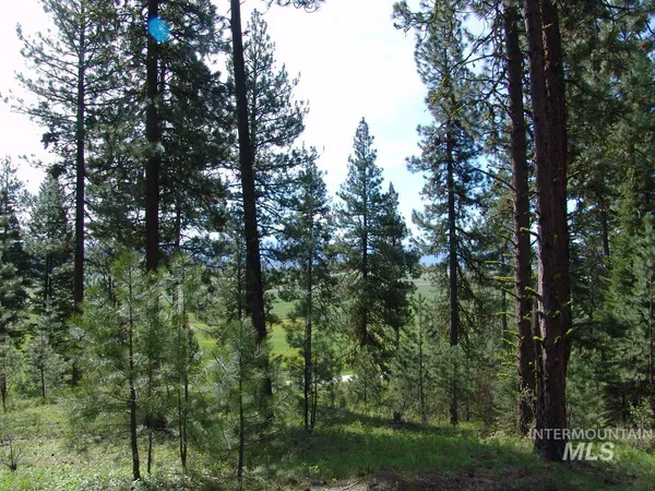 $245,000 | 21 Rehn Loop, Cascade, ID 83611