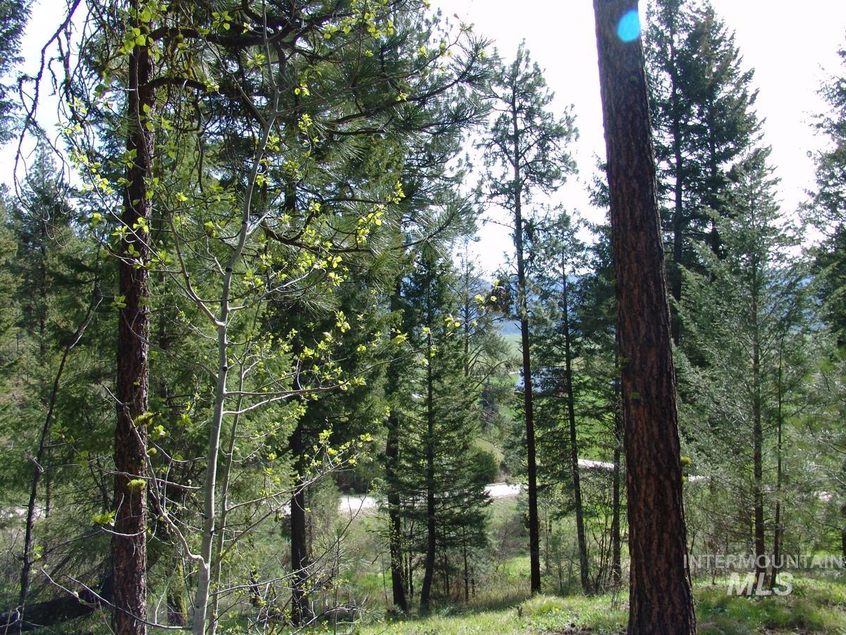 21 Rehn Loop Cascade, ID 83611 - Photo 6 of 13