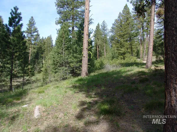 $245,000 | 21 Rehn Loop, Cascade, ID 83611