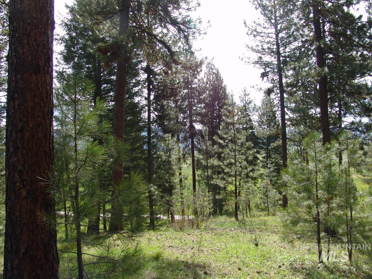 21 Rehn Loop Cascade, ID 83611 - Photo 8 of 13