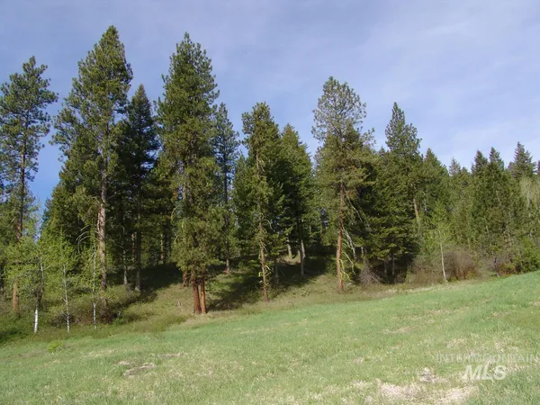 $245,000 | 21 Rehn Loop, Cascade, ID 83611