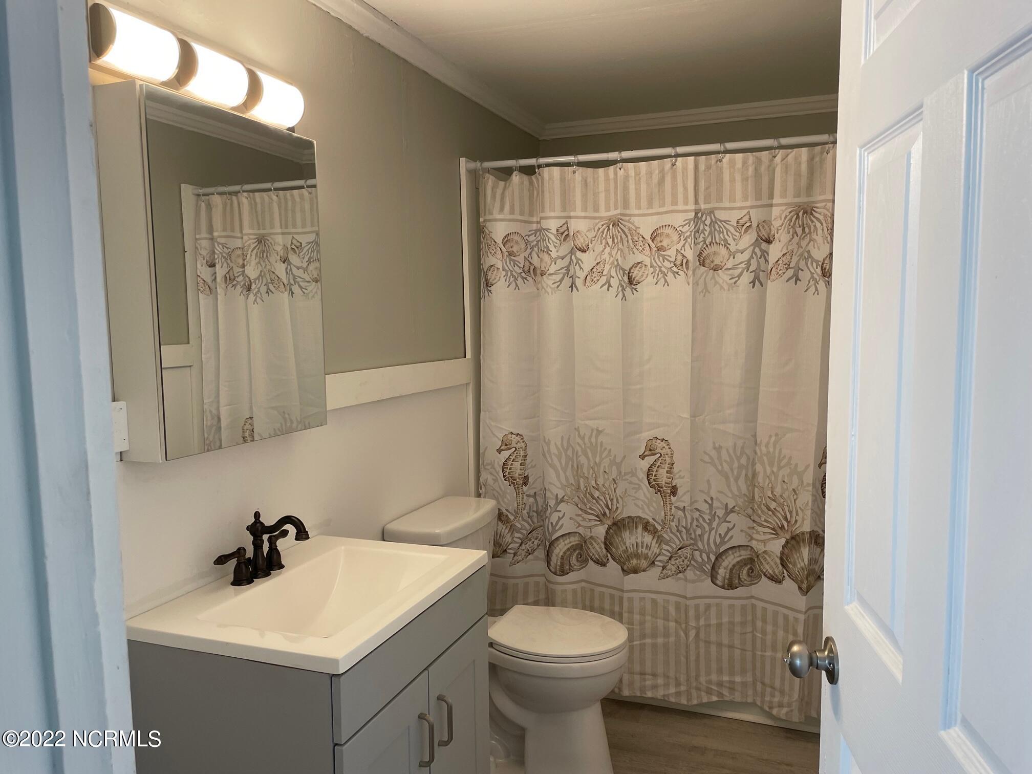 156 Core Sound Loop Road Atlantic, NC 28511 - Photo 12 of 17 Bath