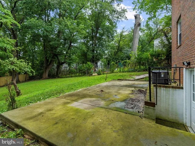 a view of a park with large trees