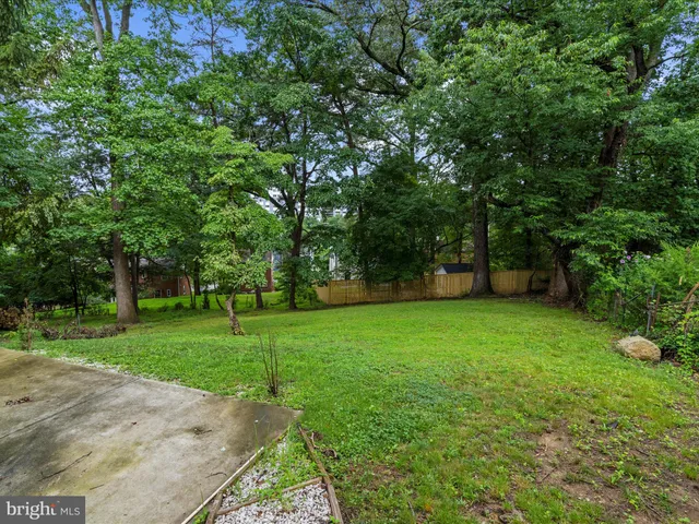 a view of a park with trees in the background
