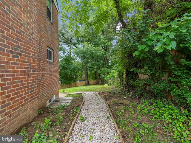 a view of a yard with plants and large trees
