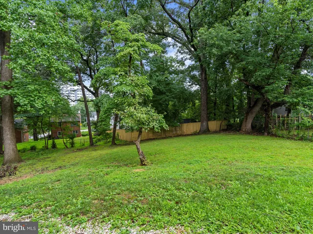 a backyard of a house with lots of plants and large tree