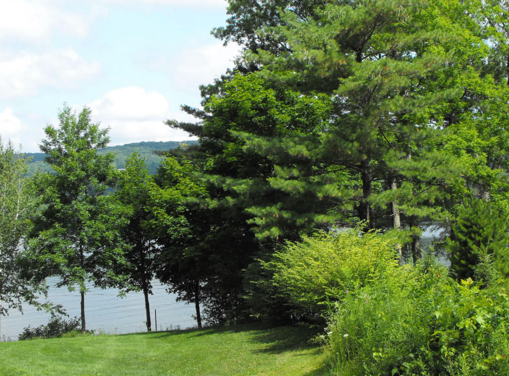 35 Mahkeenac Road Stockbridge, MA 01262 - Photo 4 of 22 View from house