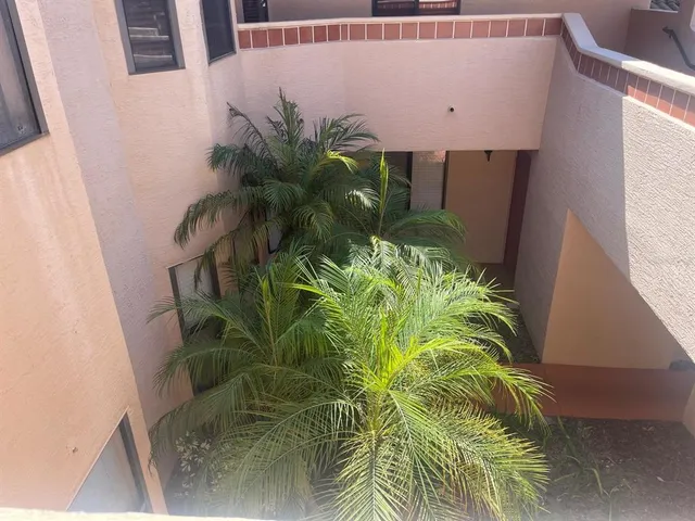 a close up of a plant in a pot