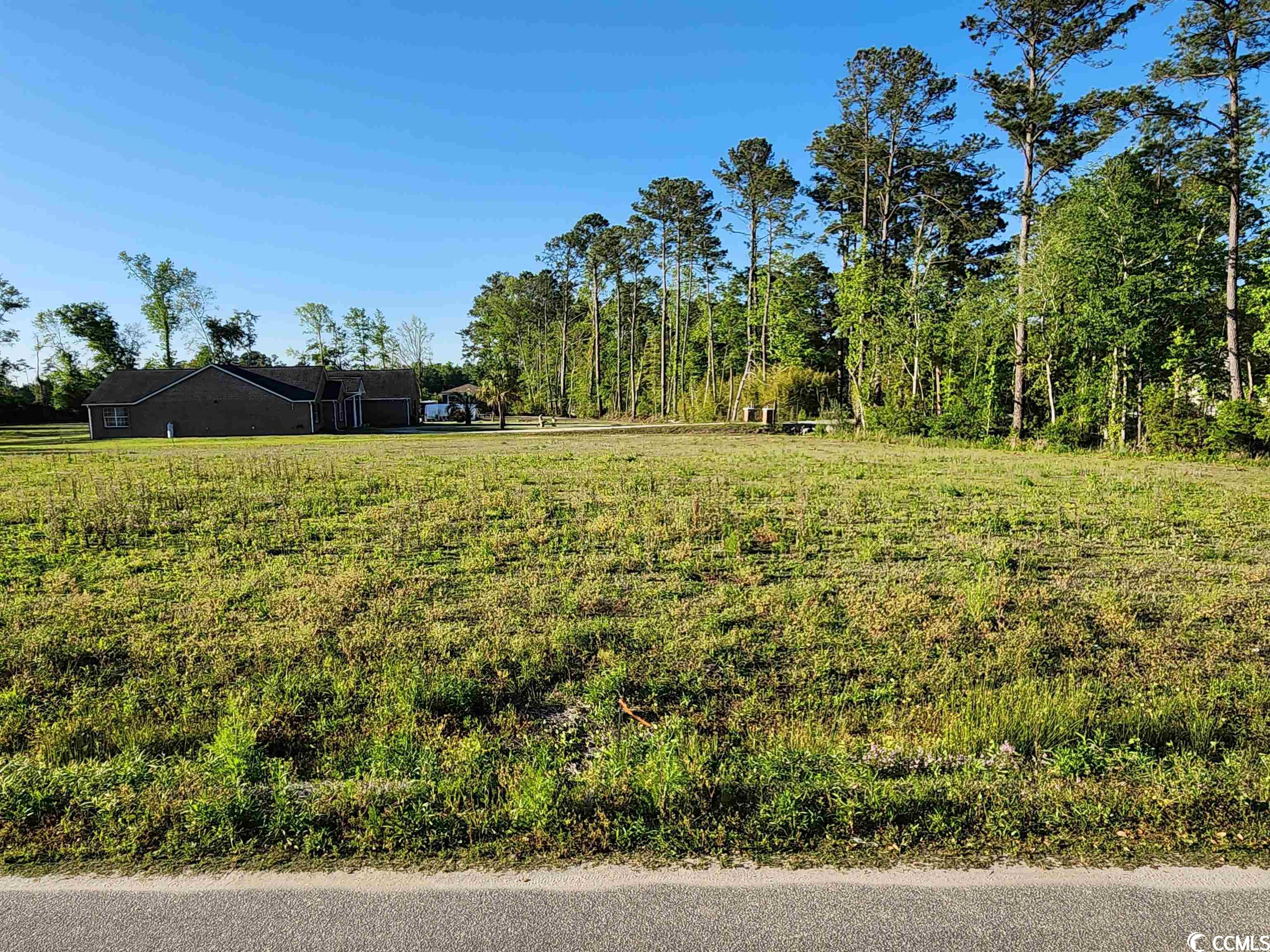 Lot C Sweet Bay Road Longs, SC 29568 - Photo 1 of 6 Gallery Image 1