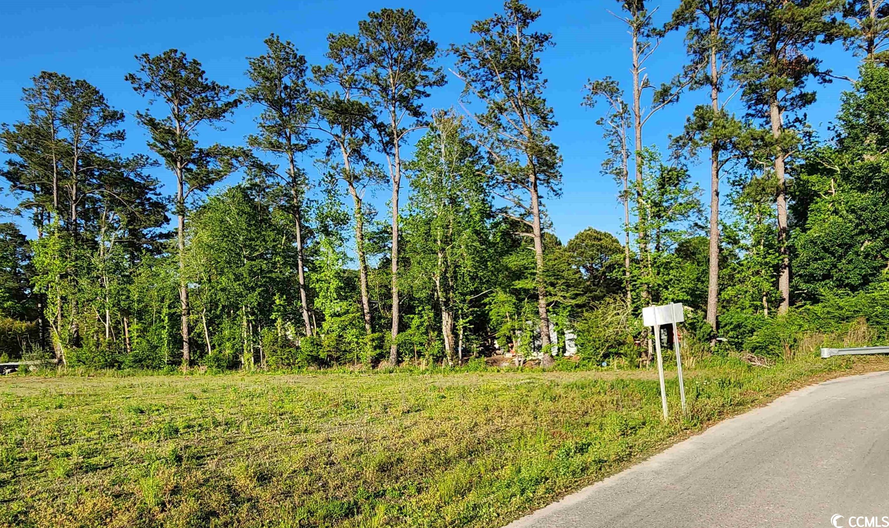 Lot C Sweet Bay Road Longs, SC 29568 - Photo 3 of 6 Gallery Image 3