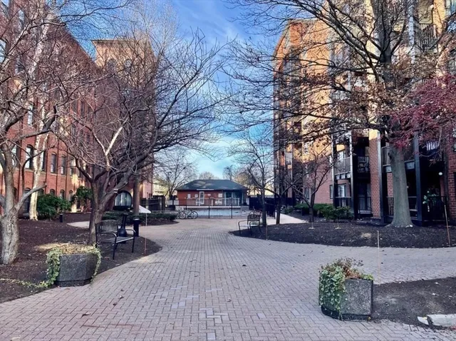 a view of a park with bench and trees
