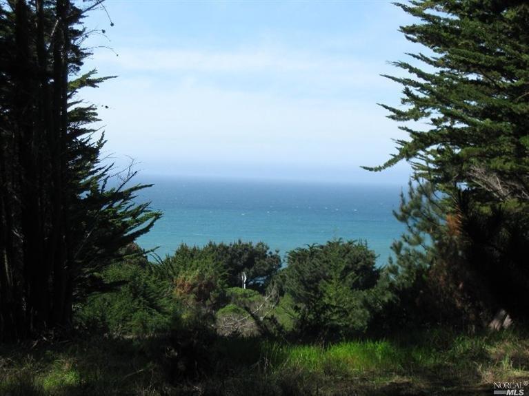 46900 Iversen Road Gualala, CA 95445 - Photo 1 of 1 Blue water views out over Saunder's Reef.
