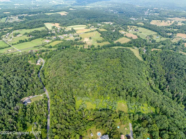a view of a lush green forest