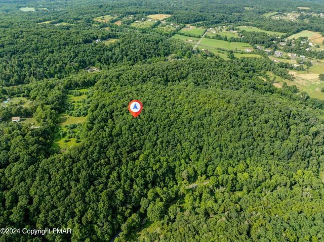 a view of a lush green forest with a houses