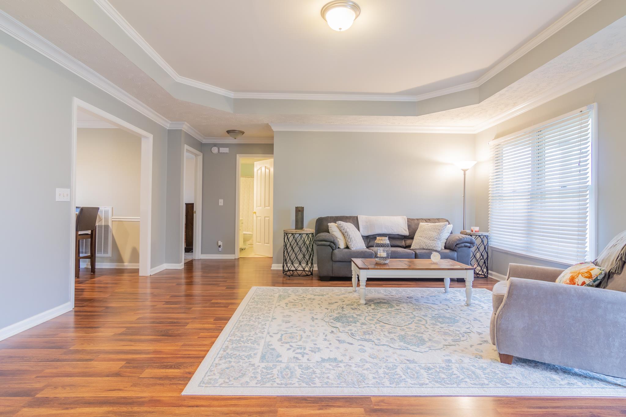 3369 Howard Road Murfreesboro, TN 37127 - Photo 5 of 21 Great Room with Trey Ceiling