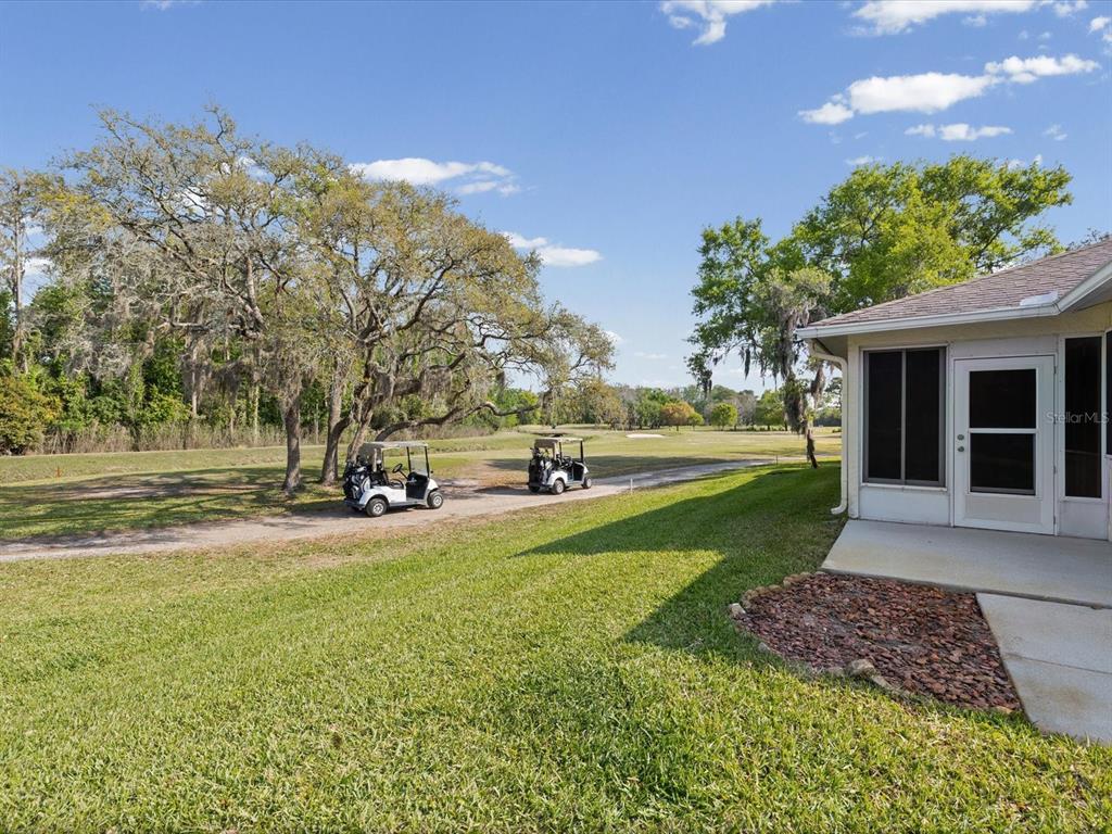11621 Holly Ann Drive New Port Richey, FL 34654 - Photo 38 of 59 a view of a house with a yard and pathway