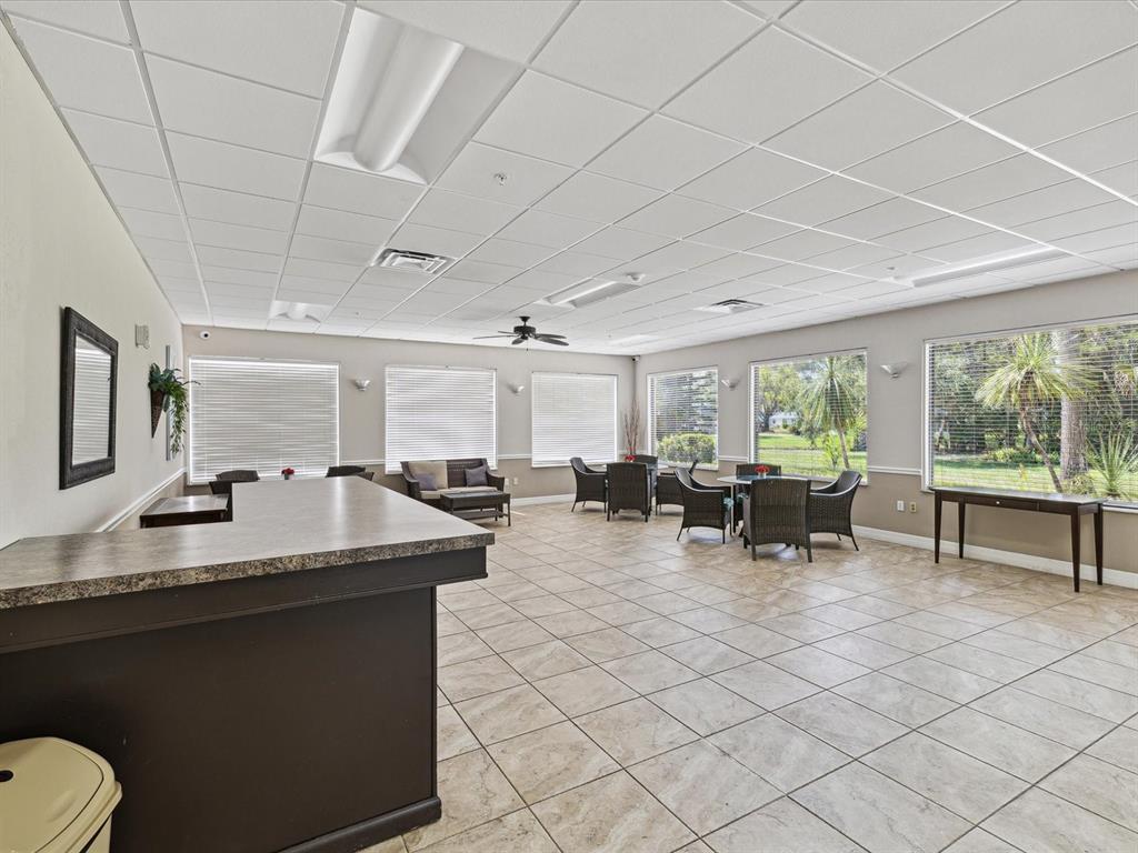 11621 Holly Ann Drive New Port Richey, FL 34654 - Photo 48 of 59