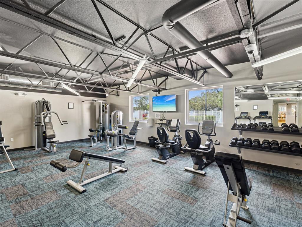 11621 Holly Ann Drive New Port Richey, FL 34654 - Photo 51 of 59 a view of a room with gym equipment