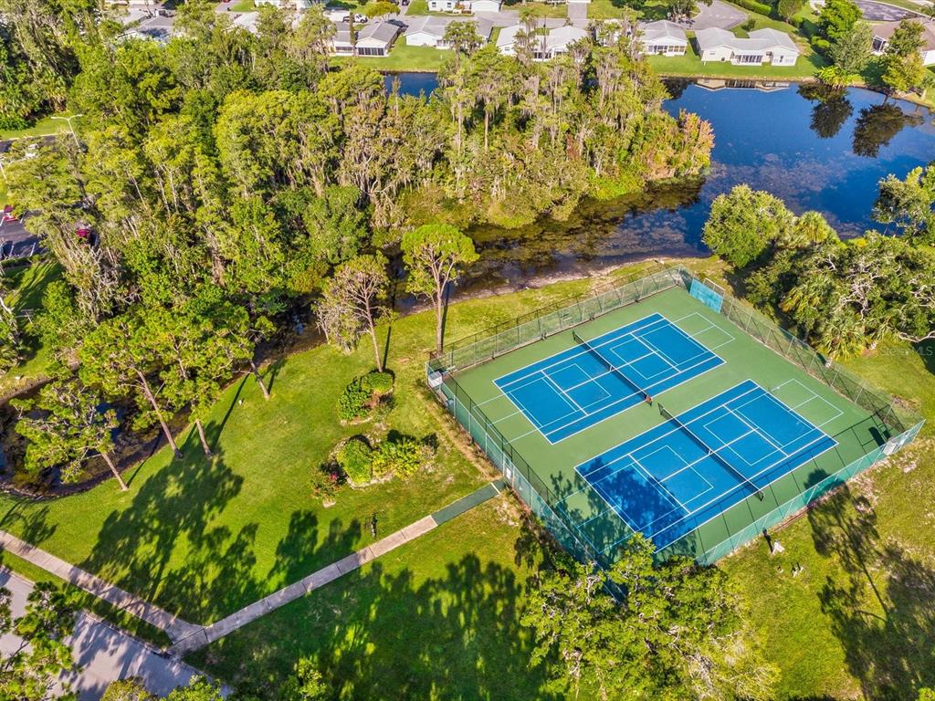 11621 Holly Ann Drive New Port Richey, FL 34654 - Photo 55 of 59