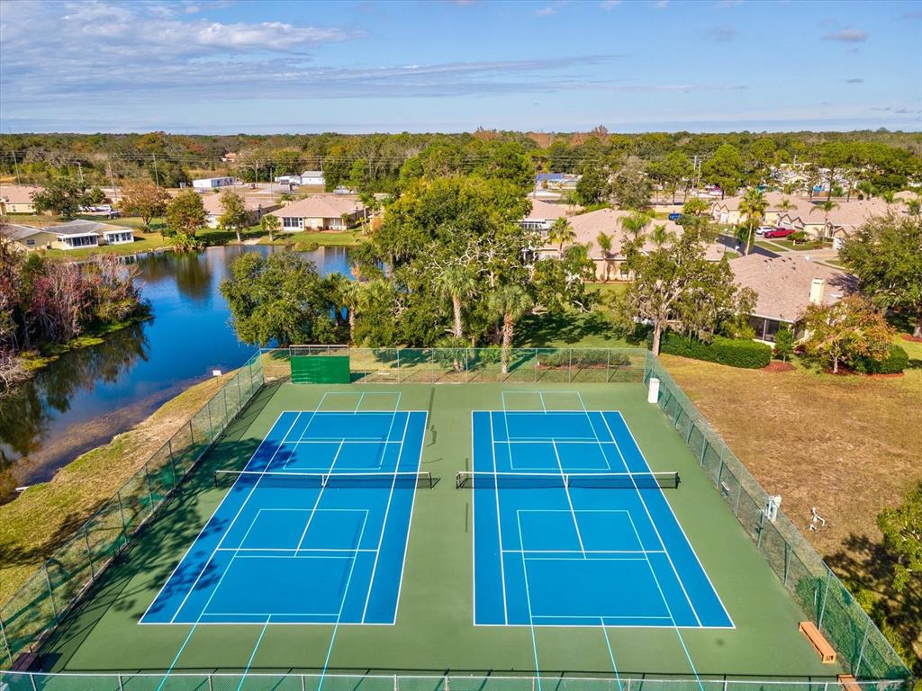 11621 Holly Ann Drive New Port Richey, FL 34654 - Photo 56 of 59