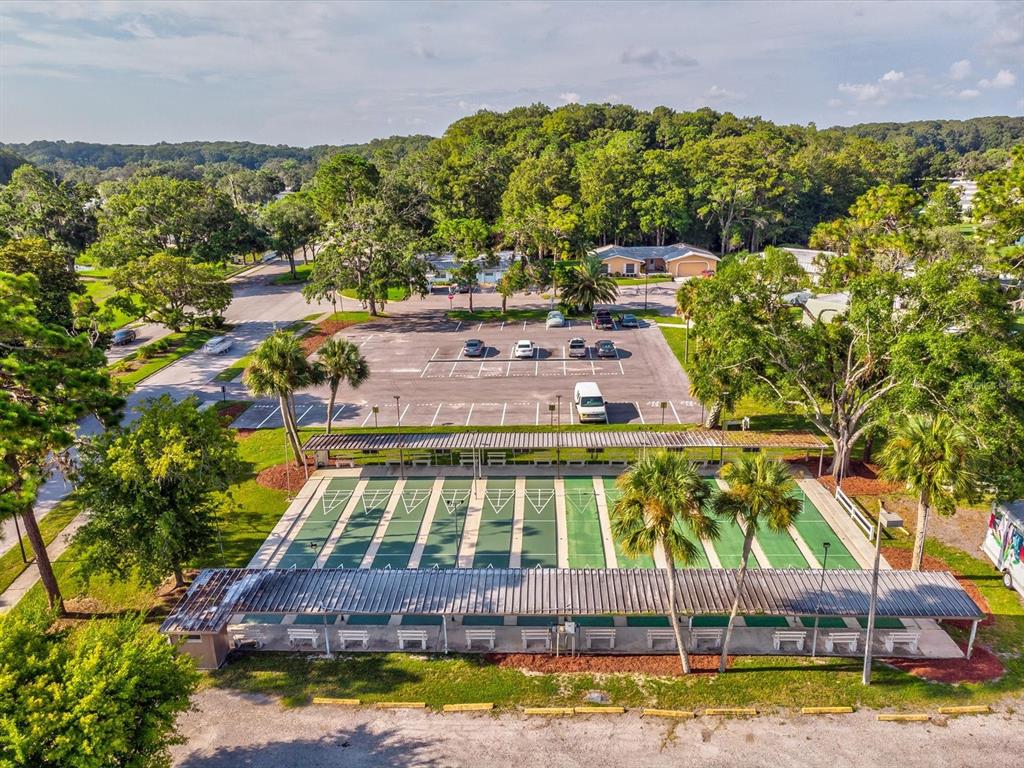 11621 Holly Ann Drive New Port Richey, FL 34654 - Photo 57 of 59 a view of a swimming pool with lawn chairs and large trees