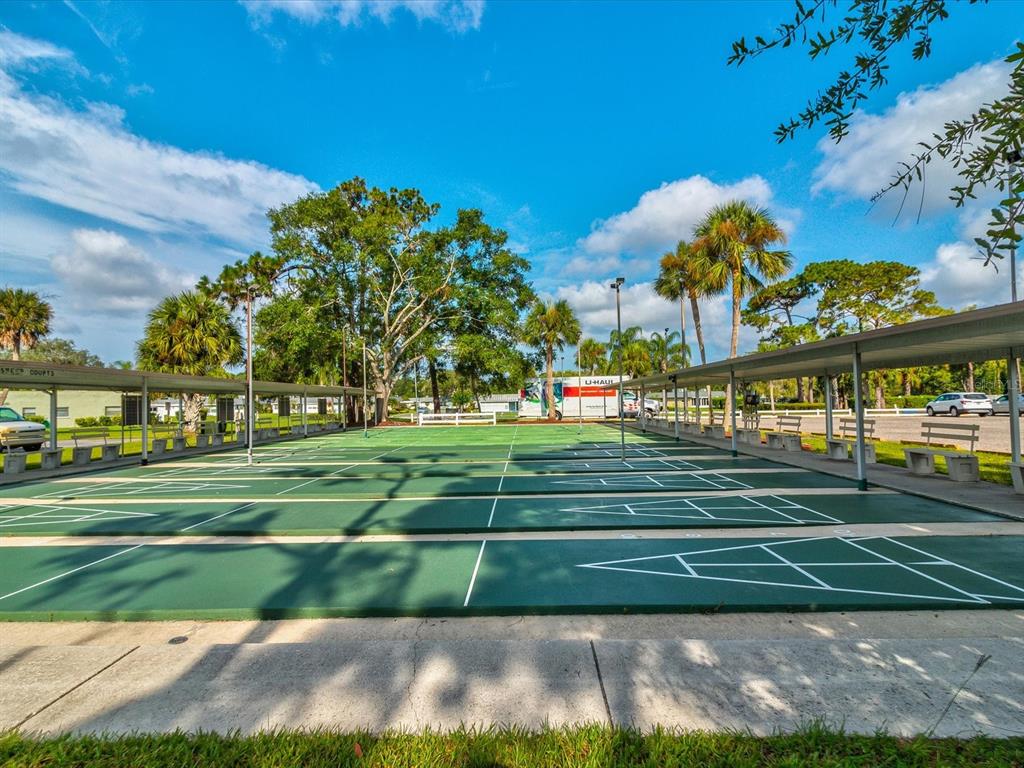 11621 Holly Ann Drive New Port Richey, FL 34654 - Photo 58 of 59 a view of a volley ball court