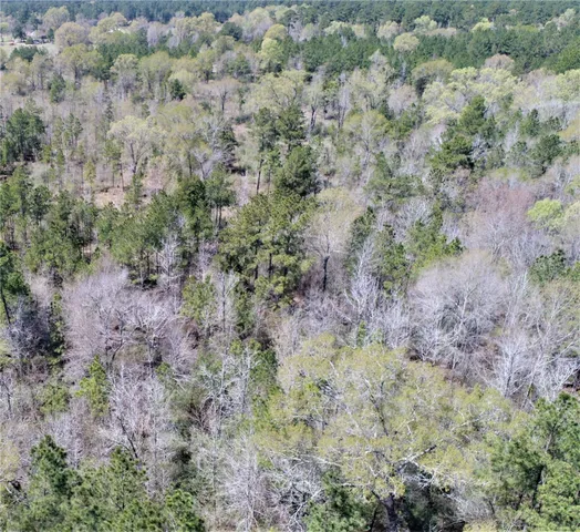 a view of a dry field with trees