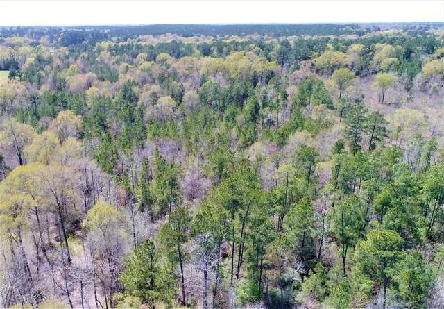 an aerial view of a houses with a lush green hillside