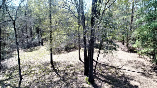 a view of snow covered with trees