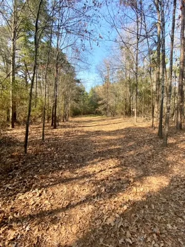 a view of a field with trees in the background