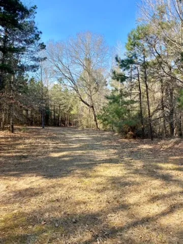 a view of a yard with a house